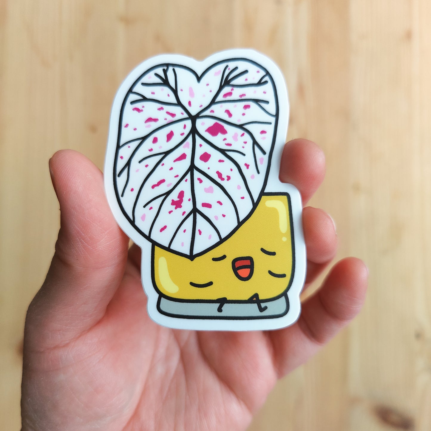 Caladium Cranberry Star Vinyl Sticker