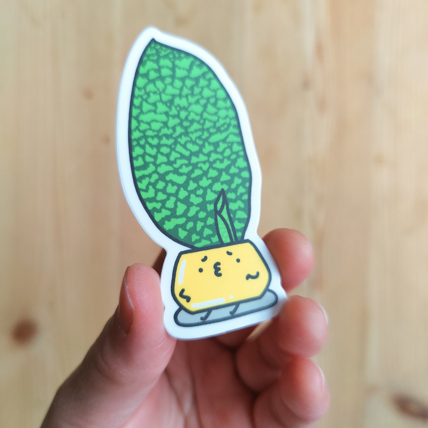 Dracaena Masoniana Vinyl Sticker
