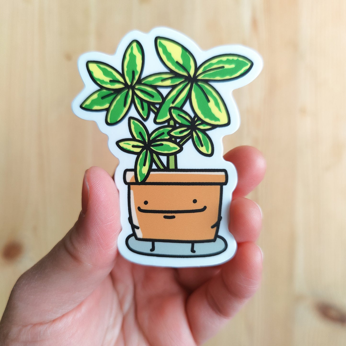Schefflera Vinyl Sticker