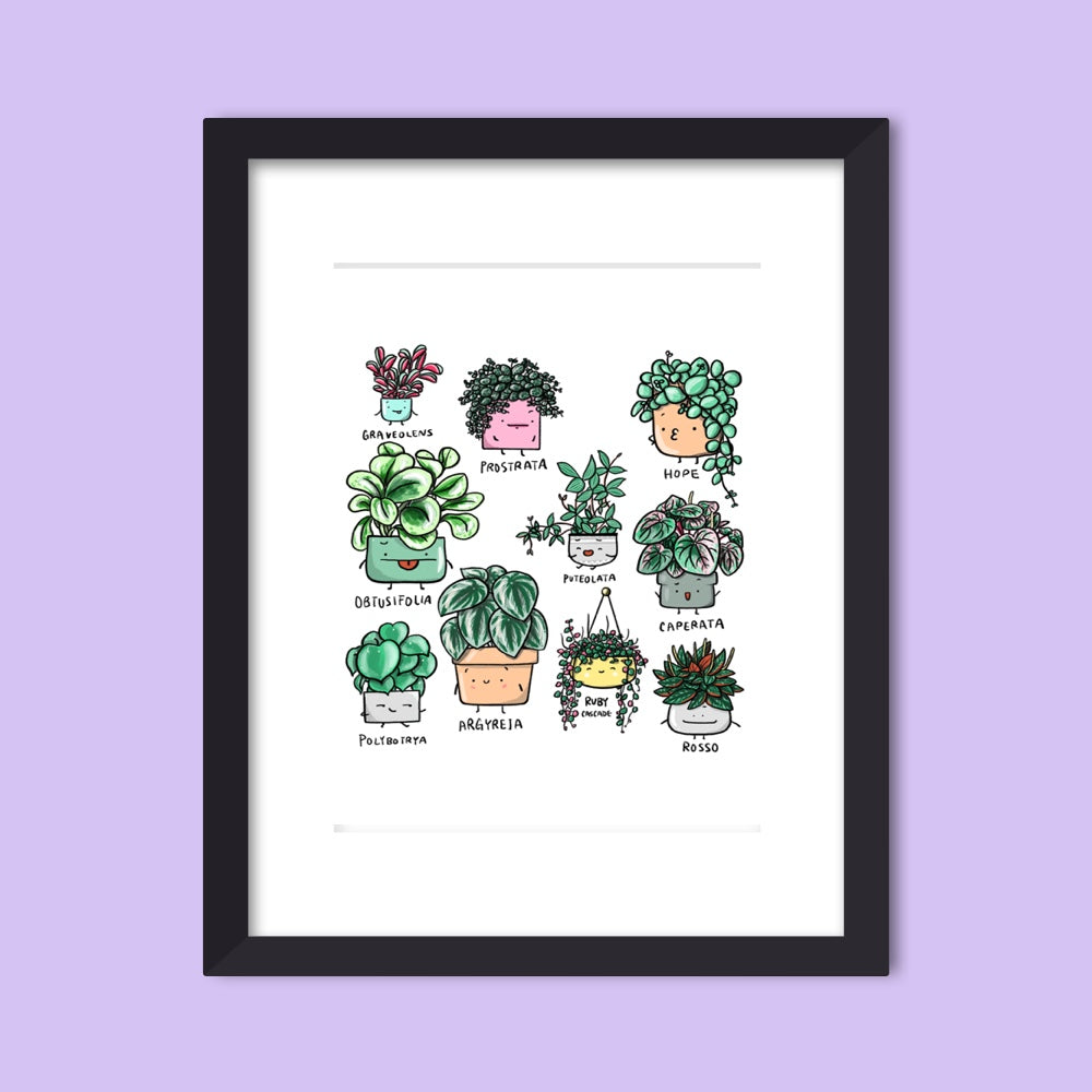 Peperomia Family Art Print
