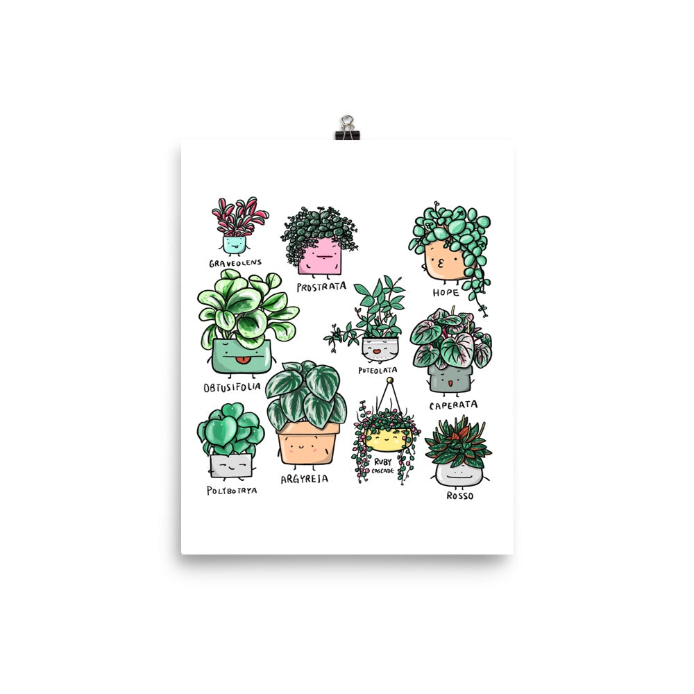 Peperomia Family Art Print