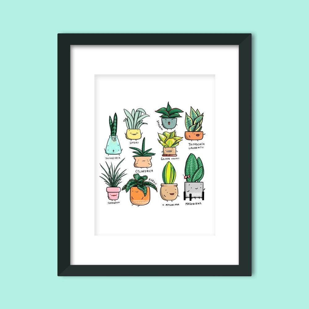 Sansevieria Family Art Print