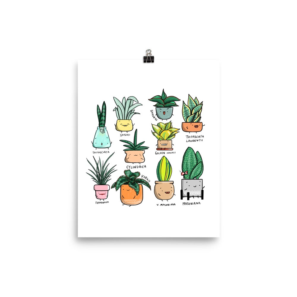 Sansevieria Family Art Print