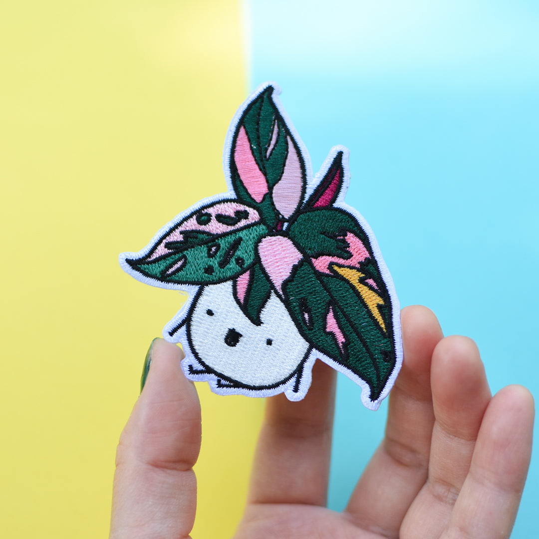 Pink Princess Philodendron Patch