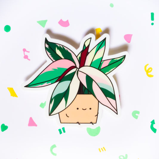 Stromanthe Vinyl Die Cut Sticker