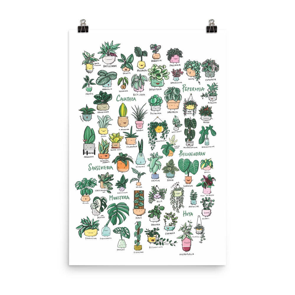Plant Families vol.1 Poster