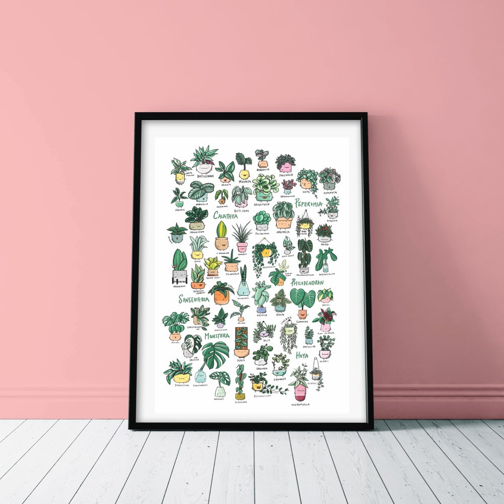 Plant Families vol.1 Poster