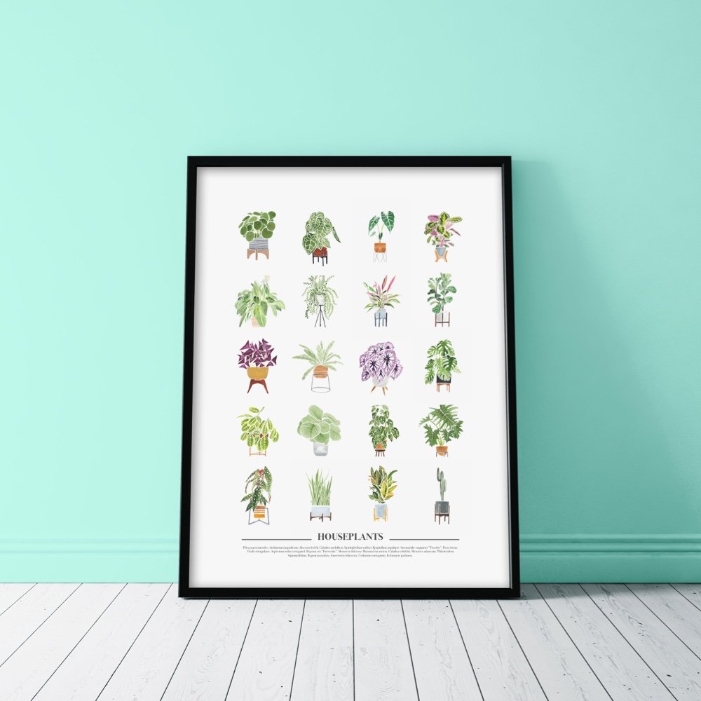 Watercolour House Plants Poster