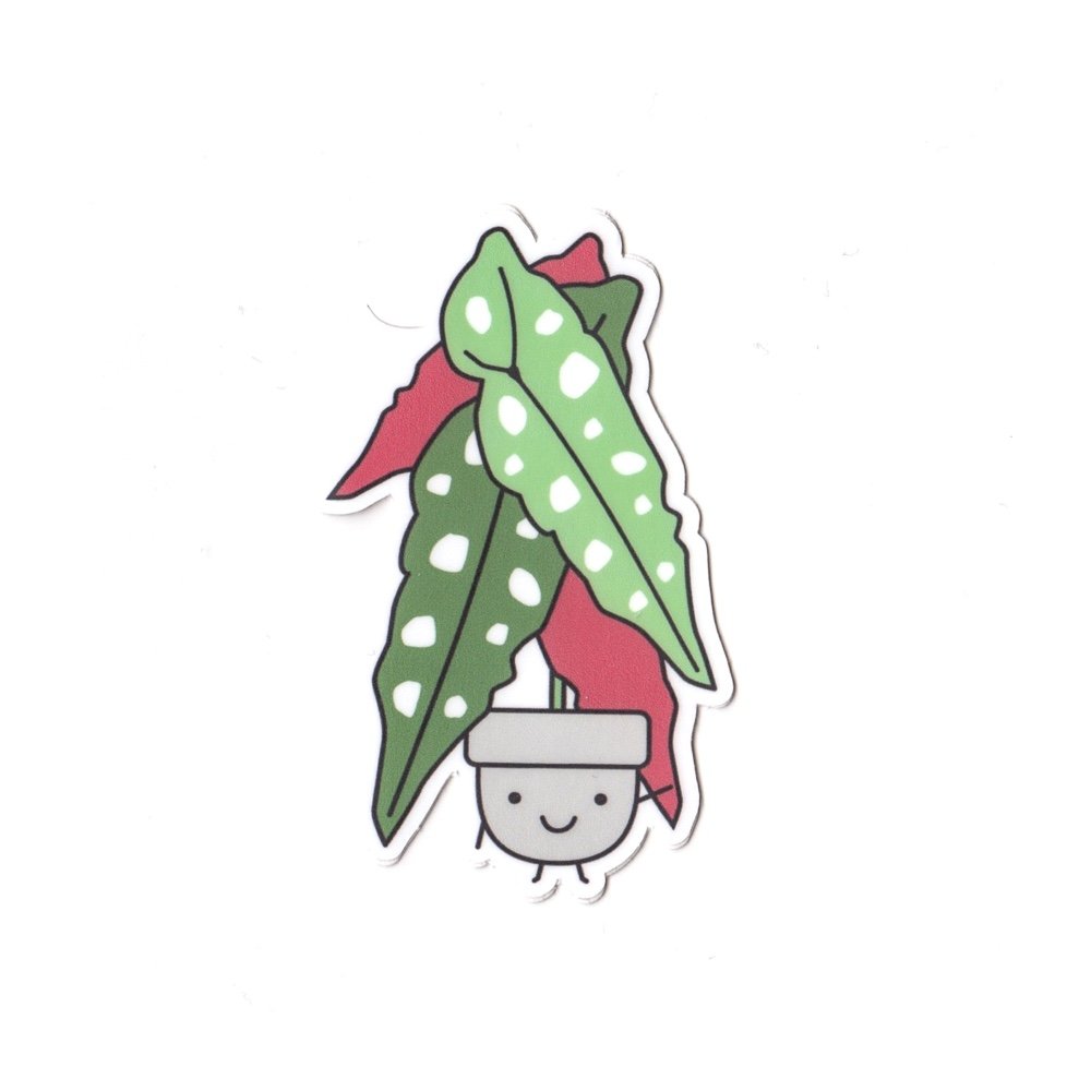 Begonia Vinyl Die Cut Sticker