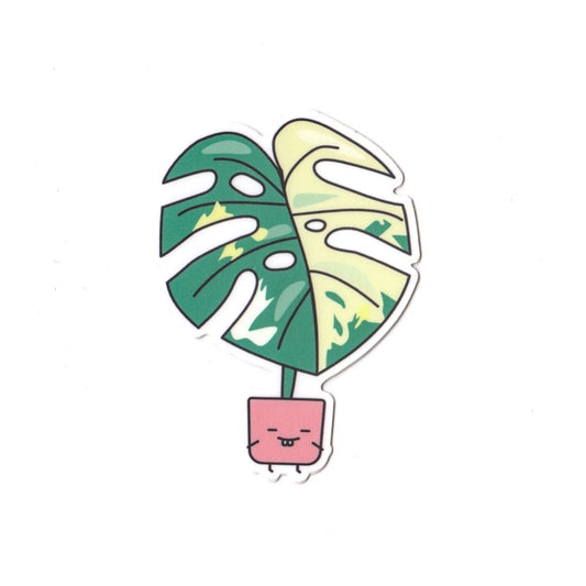 Variegated Monstera Vinyl Die Cut Sticker