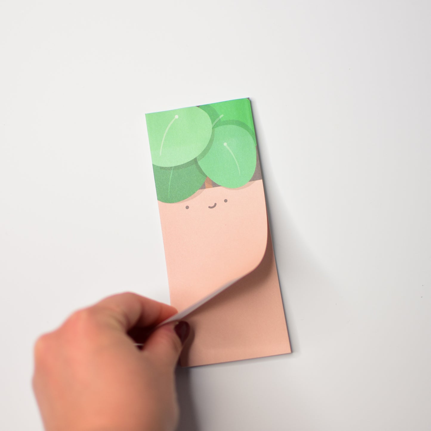 Pilea peperomioides Sticky Note Pad