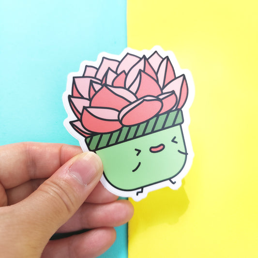 Echeveria Pink Champaigne vinyl sticker