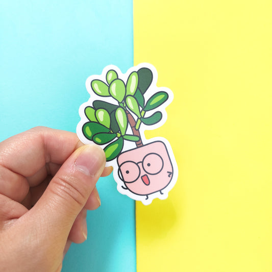 Crassula Ovata vinyl sticker