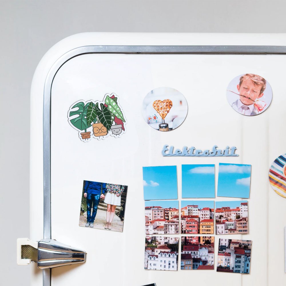 Plant Buddies Magnet