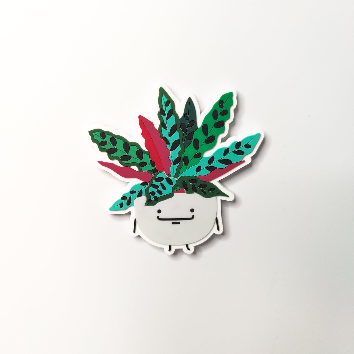 Calathea Rattlesnake Fridge Magnet