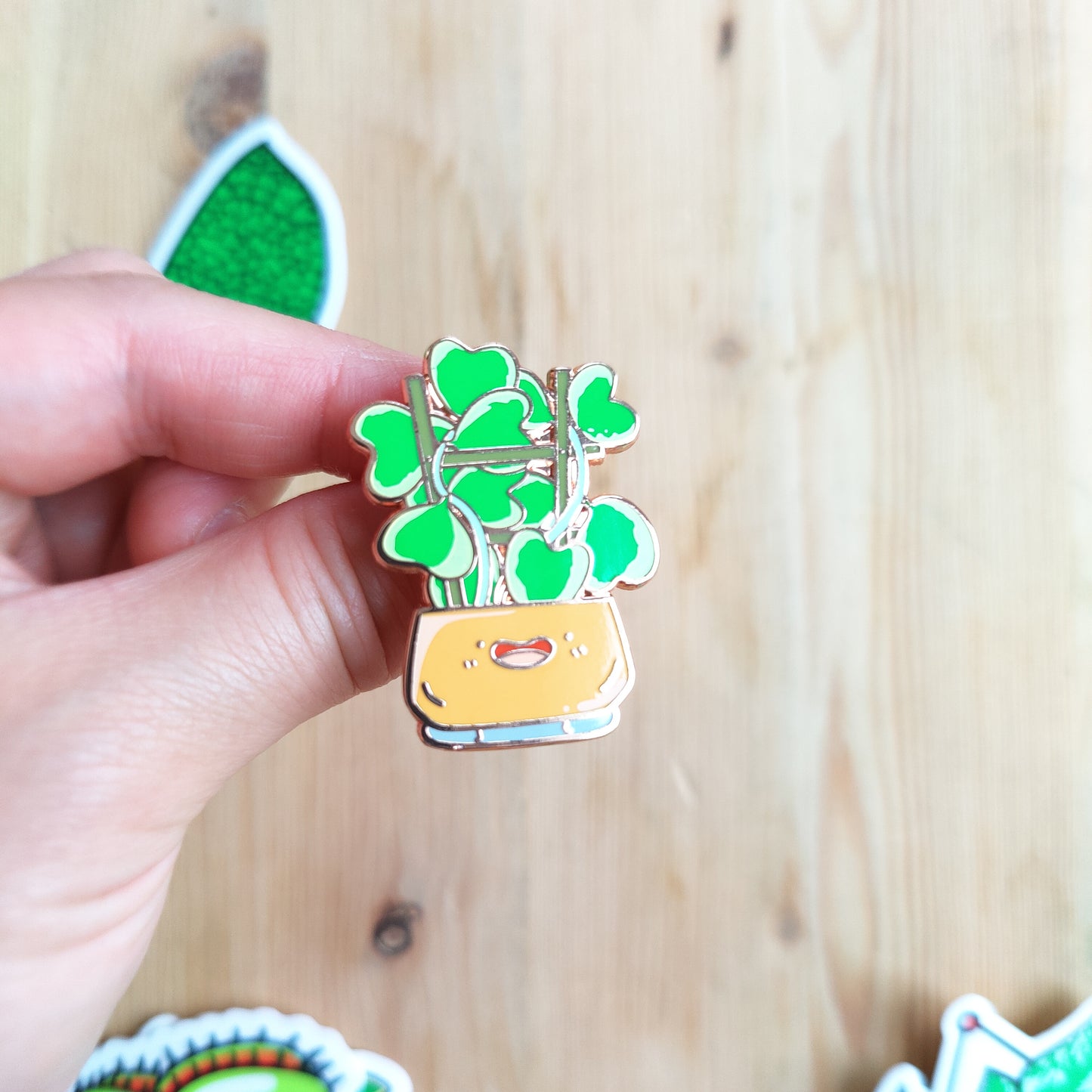 Variegated Hoya Kerrii Enamel Pin