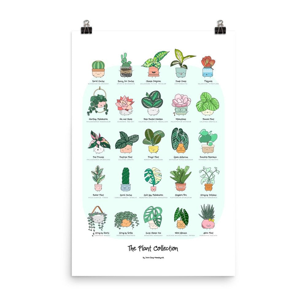 The Plant Collection Poster