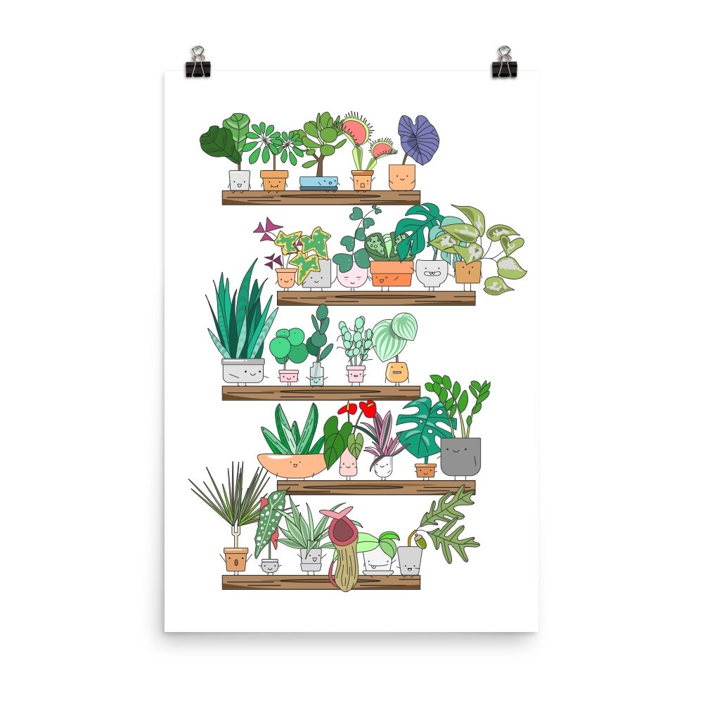 Plant Shelfie Poster