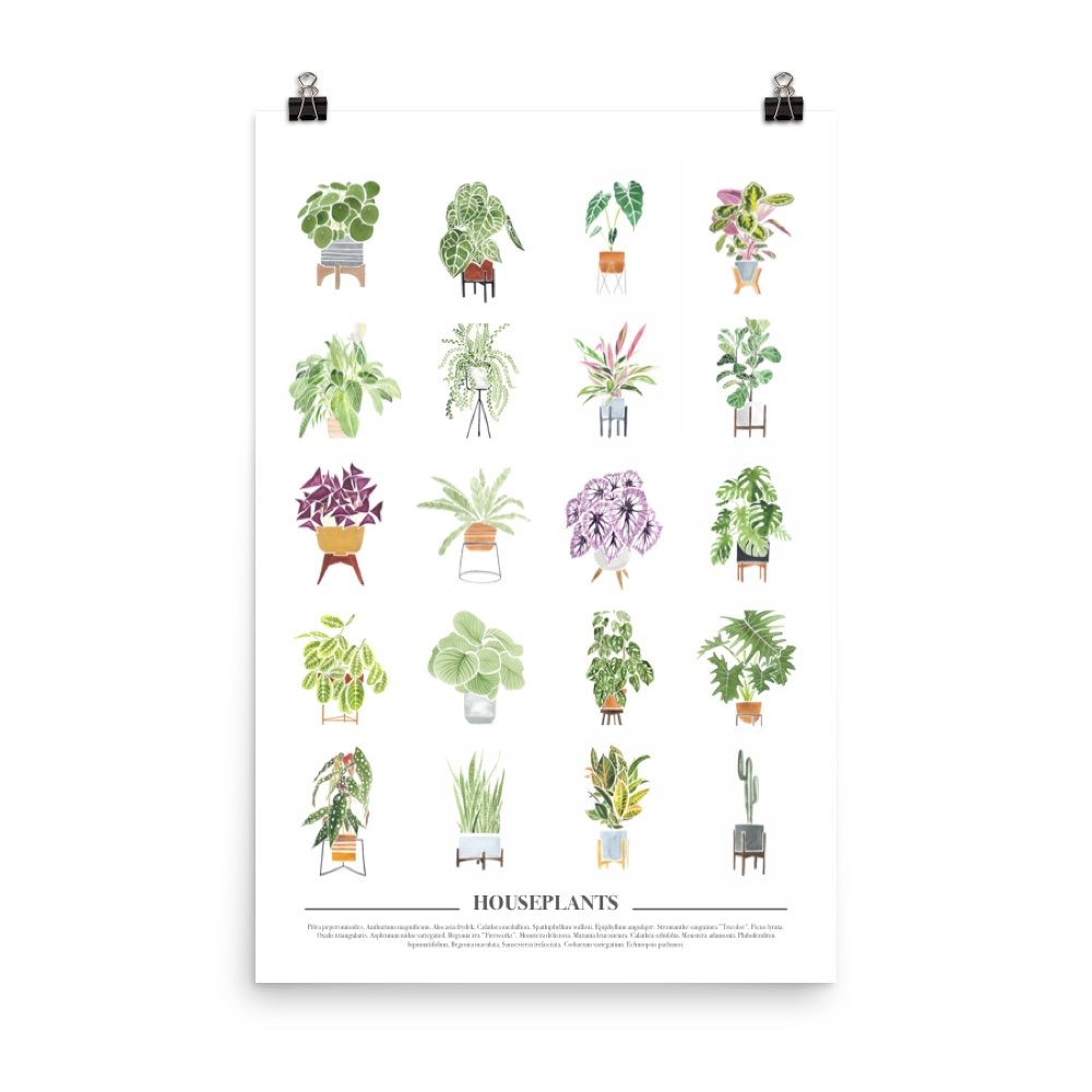 Watercolour House Plants Poster