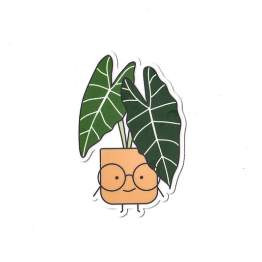 Alocasia Vinyl Die Cut Sticker
