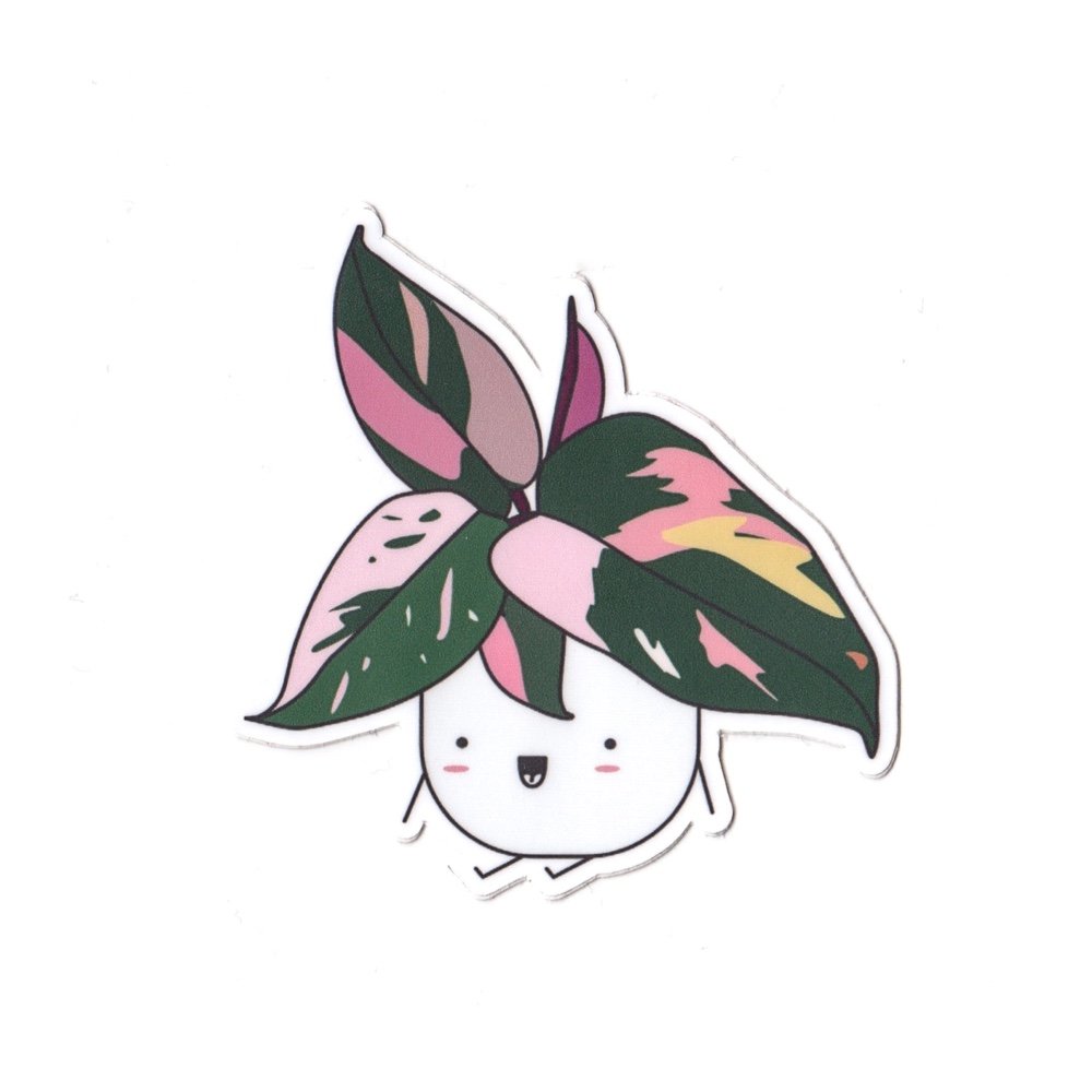Pink Princess Philodendron Vinyl Die Cut Sticker